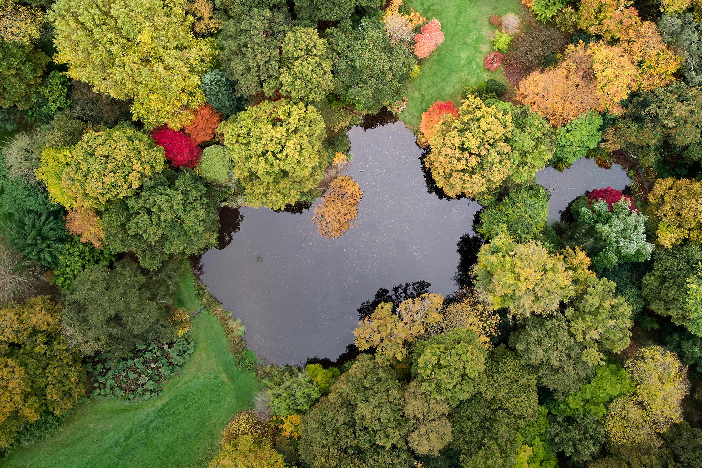 07_Les_Jardins_de_Kerdalo_01